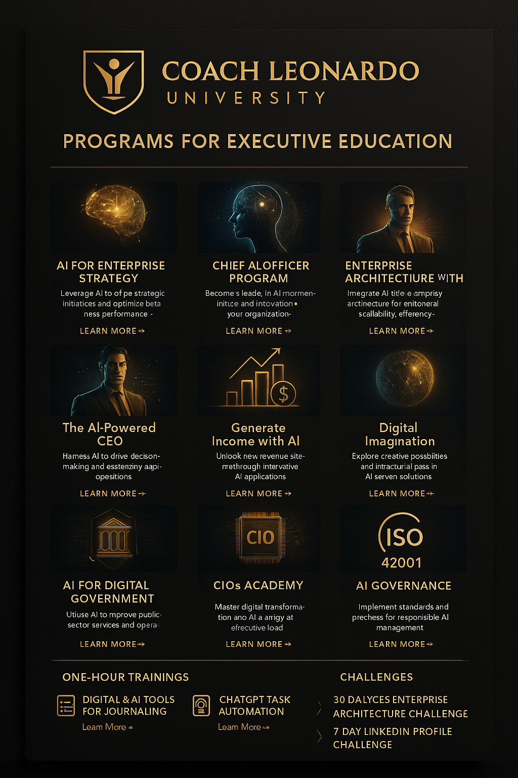 Coach Leonardo University - Executive Education Programs